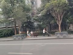 -西南交通大学(九里校区)