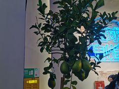 柠檬树-茶救星球·蔬果茶(东城万达店)