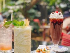 -Fern Forest Cafe