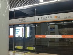 -奥体中心(地铁站)
