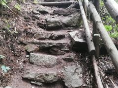 -王顺山国家森林公园