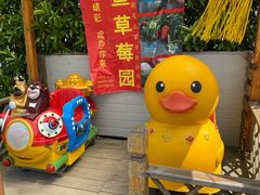 -小鱼草莓采摘园农家乐·小鱼餐厅