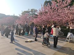 -南山植物园