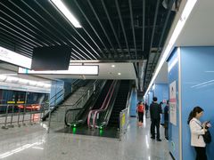 -大龙山(地铁站)