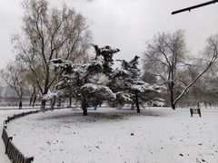 -莲花池公园