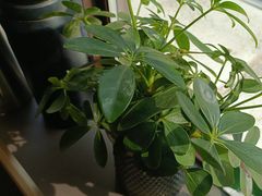 -好口味小吃楼·东北菜(太原南街店)