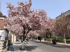 -天津五大道文化旅游区