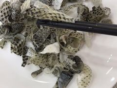-金瑞轩大酒楼·顺德鱼生·粤菜海鲜(东江国际店)