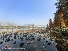 -飞来湖湿地公园