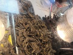 -王浩儿纪六孃甜皮鸭(乐山总店)