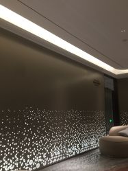 -华臣医疗美容
