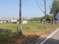 -洋湖国家湿地公园