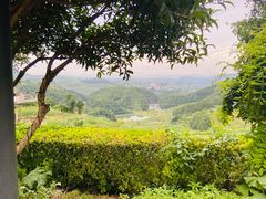 -乌石村