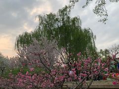 -海棠花溪(元大都城垣遗址公园)