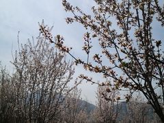 -石砭峪水库