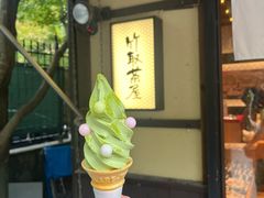 -岚山嵯峨野观光小火车