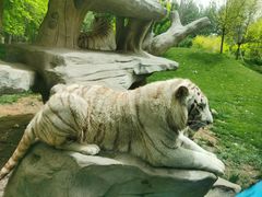 -北京野生动物园