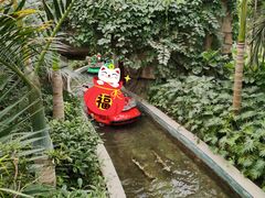 -南宫五洲植物乐园