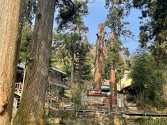 -东天目山风景区