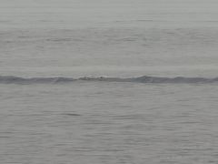 -贾老板缸肉馆(潮韵街店)