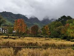 -塔川景区