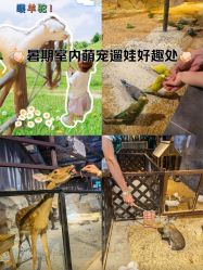 -酷嗒动物文化乐园(cutezoo西溪乐天城店)