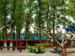 -北京野生动物园