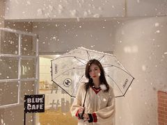 -Blue Concept Cafe&Farm·關於藍