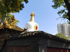 -护国法轮寺