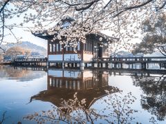 -西溪国家湿地公园