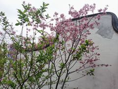 -乌山风景区