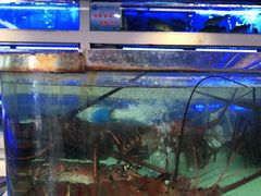 -青石桥市场北1-27号