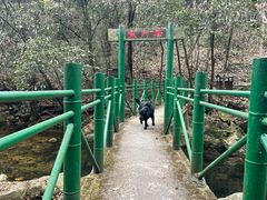 -燕子河大峡谷天坑仙境