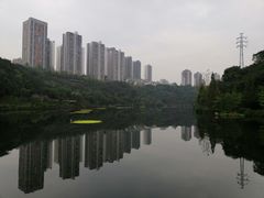 -重庆彩云湖湿地公园