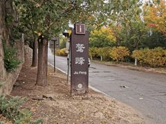 -北京鹫峰国家森林公园