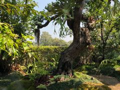 -Chom Cafe and Restaurant