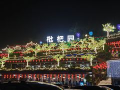 -枇杷园食为鲜火锅(南山店)
