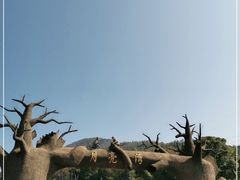 -梅岭月亮湾山体公园