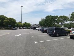 -顾村公园3号门停车场