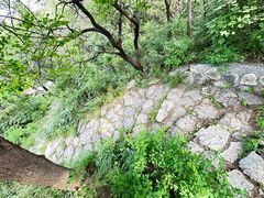 -阳台山自然风景区