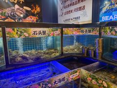 -福禧荟·海鲜自助