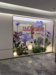 点击看大图 -深圳美莱医疗美容医院