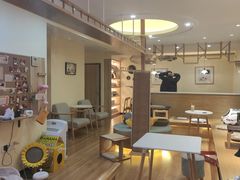 -滚猫咖啡·猫咖·猫友好撸猫(未来城店)