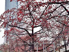 -烈士陵园(地铁站)