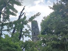 -上海佘山国家森林公园天马山园