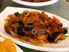 红烧蹄筋-清雅轩·清真菜·传统菜•融合菜(滑翔店)