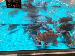 -艳阳天·非遗楚菜(武汉客厅店)