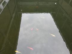 -黄埔军校旧址纪念馆
