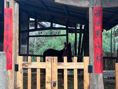 -驿舍·民國老营房院子私房菜(科学会堂店)