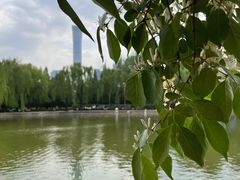 -团结湖公园